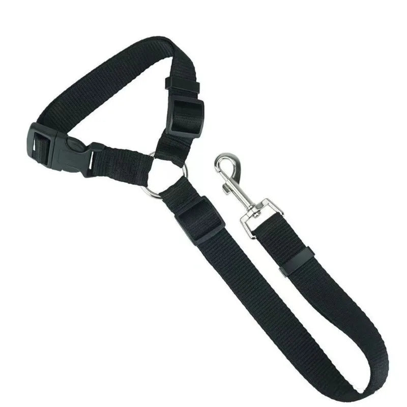 Headrest Seat Belt