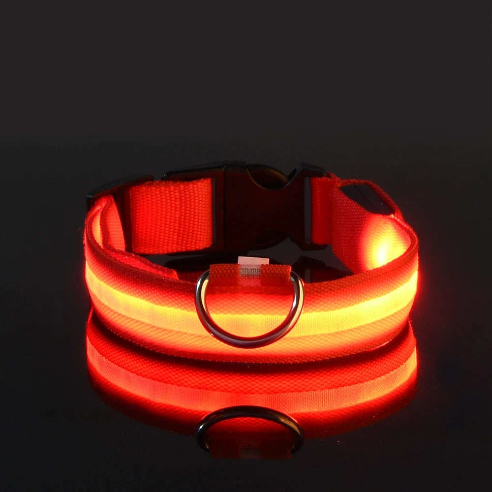 Rechargeable LED Collar