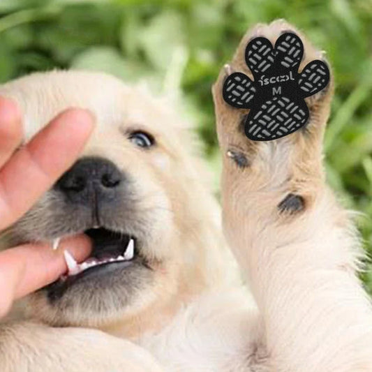 Heat Protecting Paw Pad