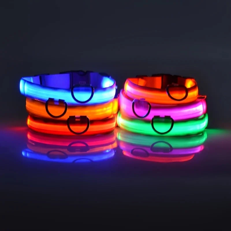 Rechargeable LED Collar