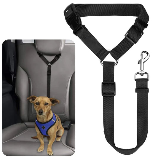 Headrest Seat Belt