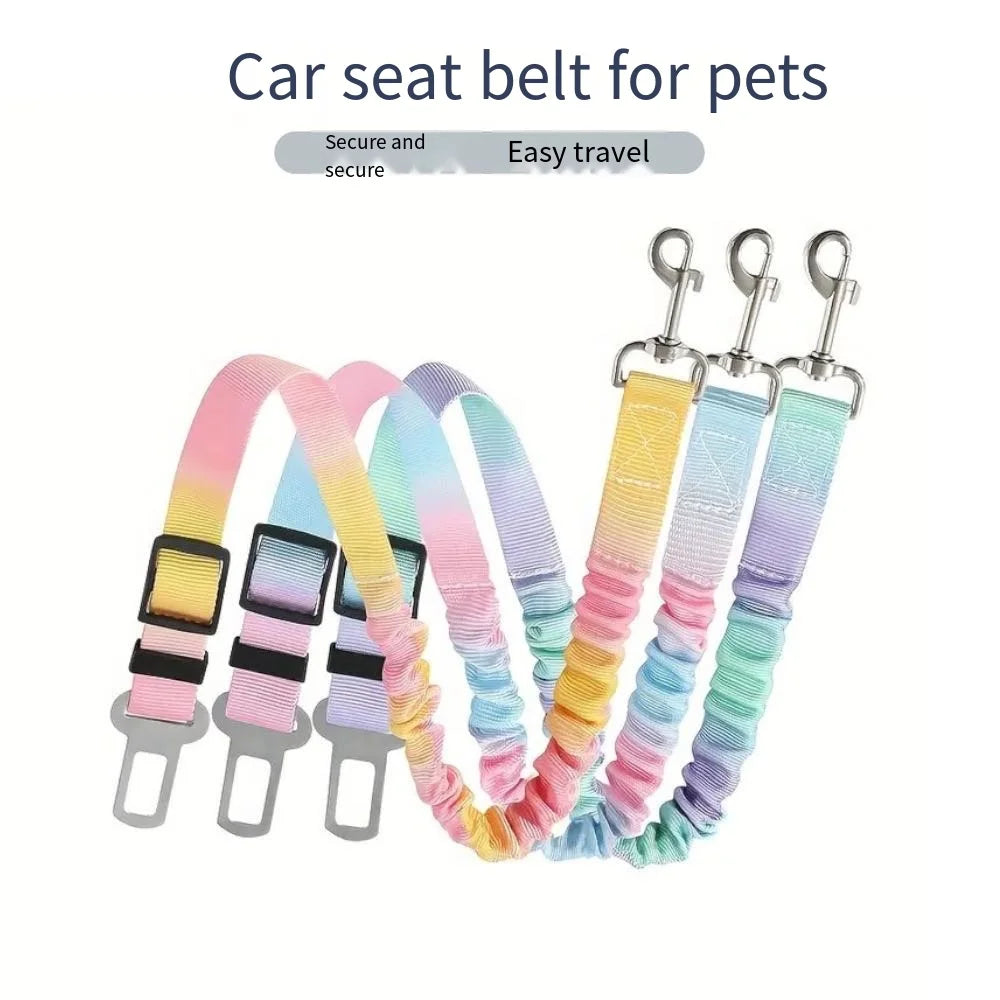 Safety Buckle Seat Belt