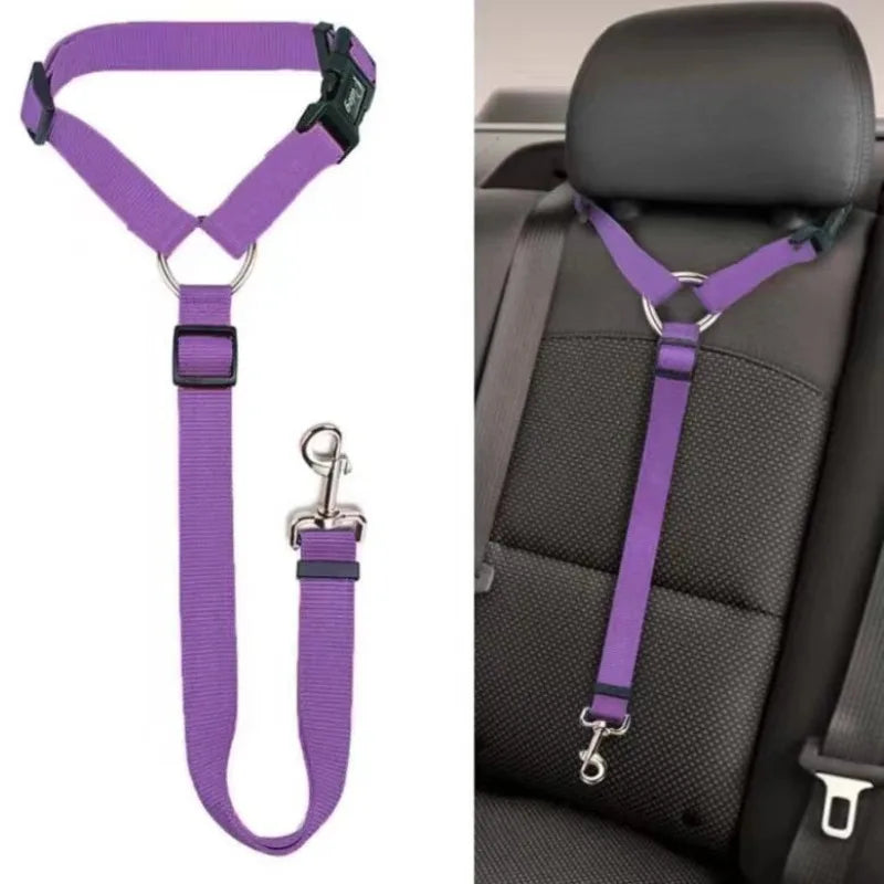 Headrest Seat Belt