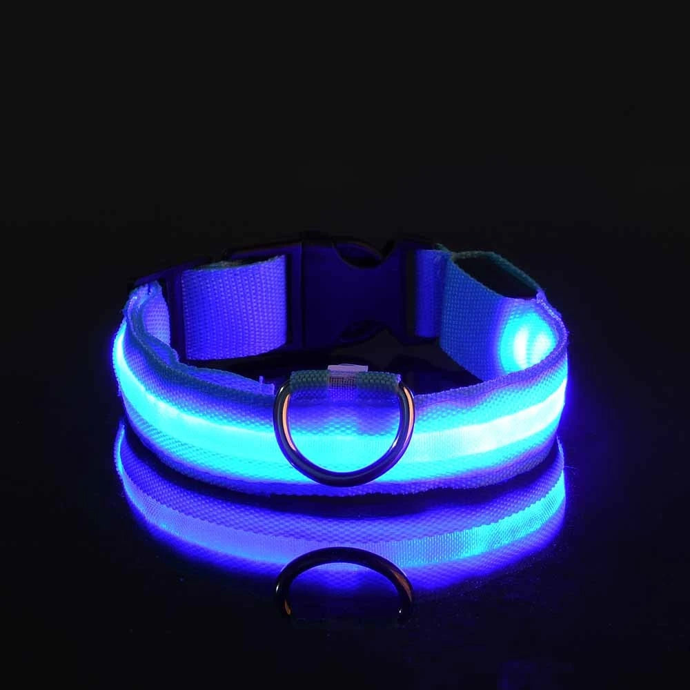 Rechargeable LED Collar