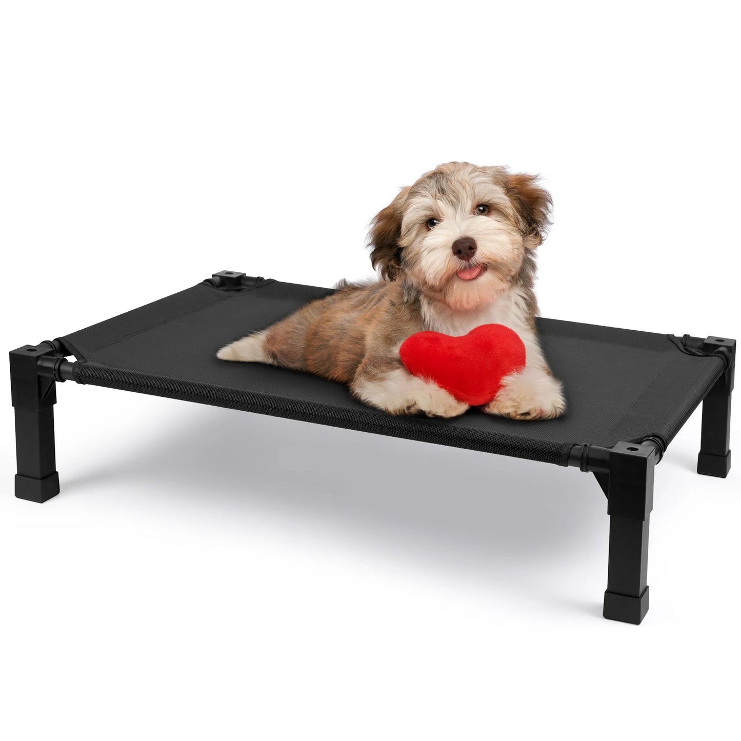 Elevated Dog Bed