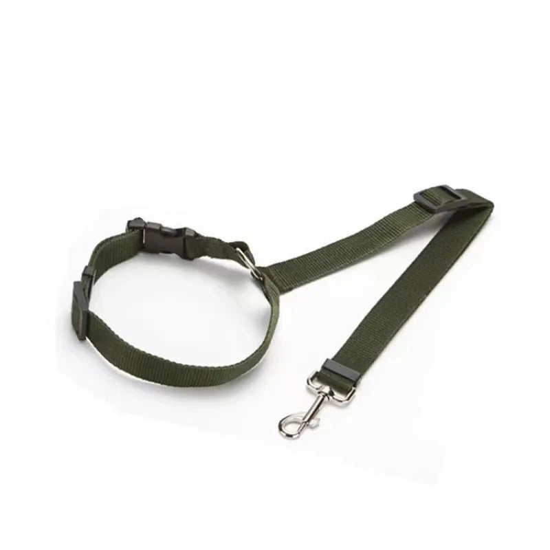 Headrest Seat Belt