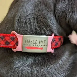 Custom Slide-On Silicone Dog Tag - Silent Pet ID Tag Personalized Engraved - Waterproof Pet Collar Accessory No Noise Free Ship