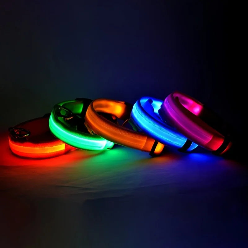 Rechargeable LED Collar