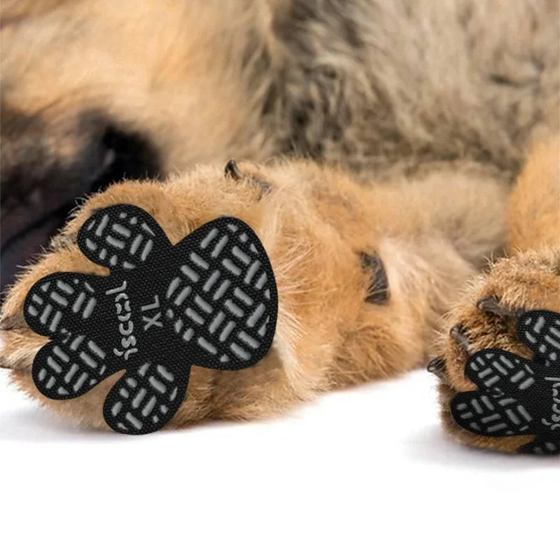 Heat Protecting Paw Pad