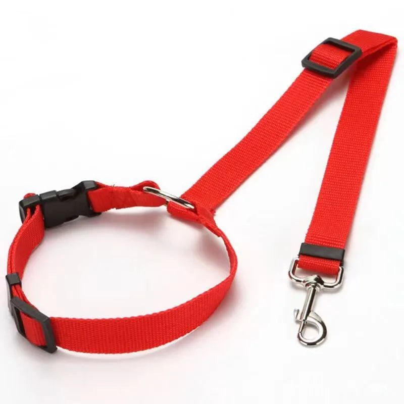 Headrest Seat Belt