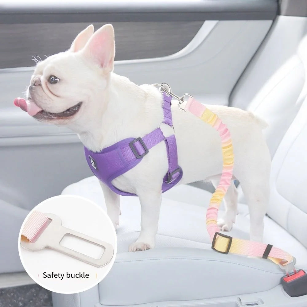 Safety Buckle Seat Belt