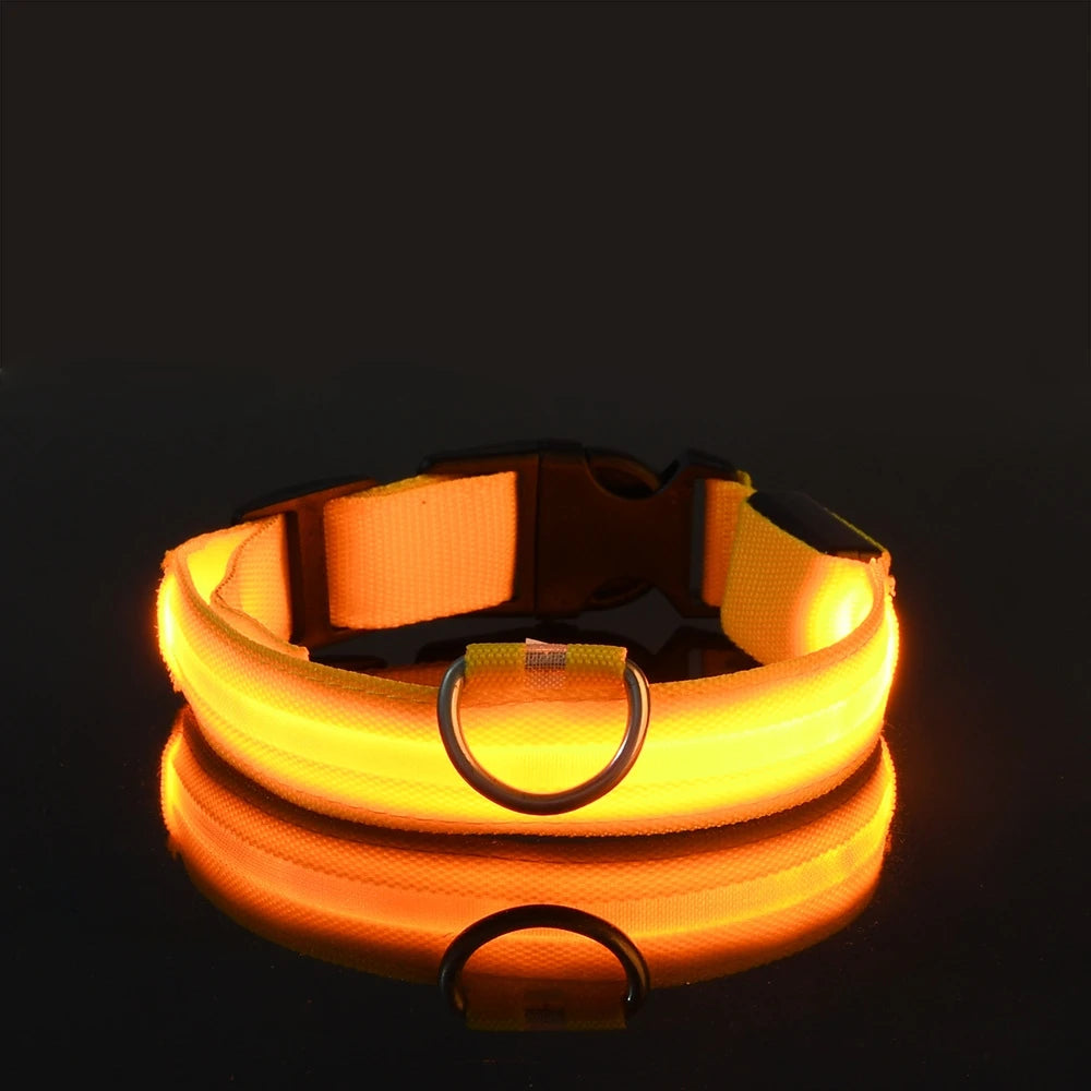 Rechargeable LED Collar