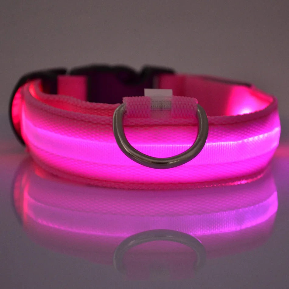 Rechargeable LED Collar