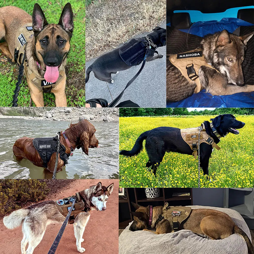 Large Breed Tactical Harness