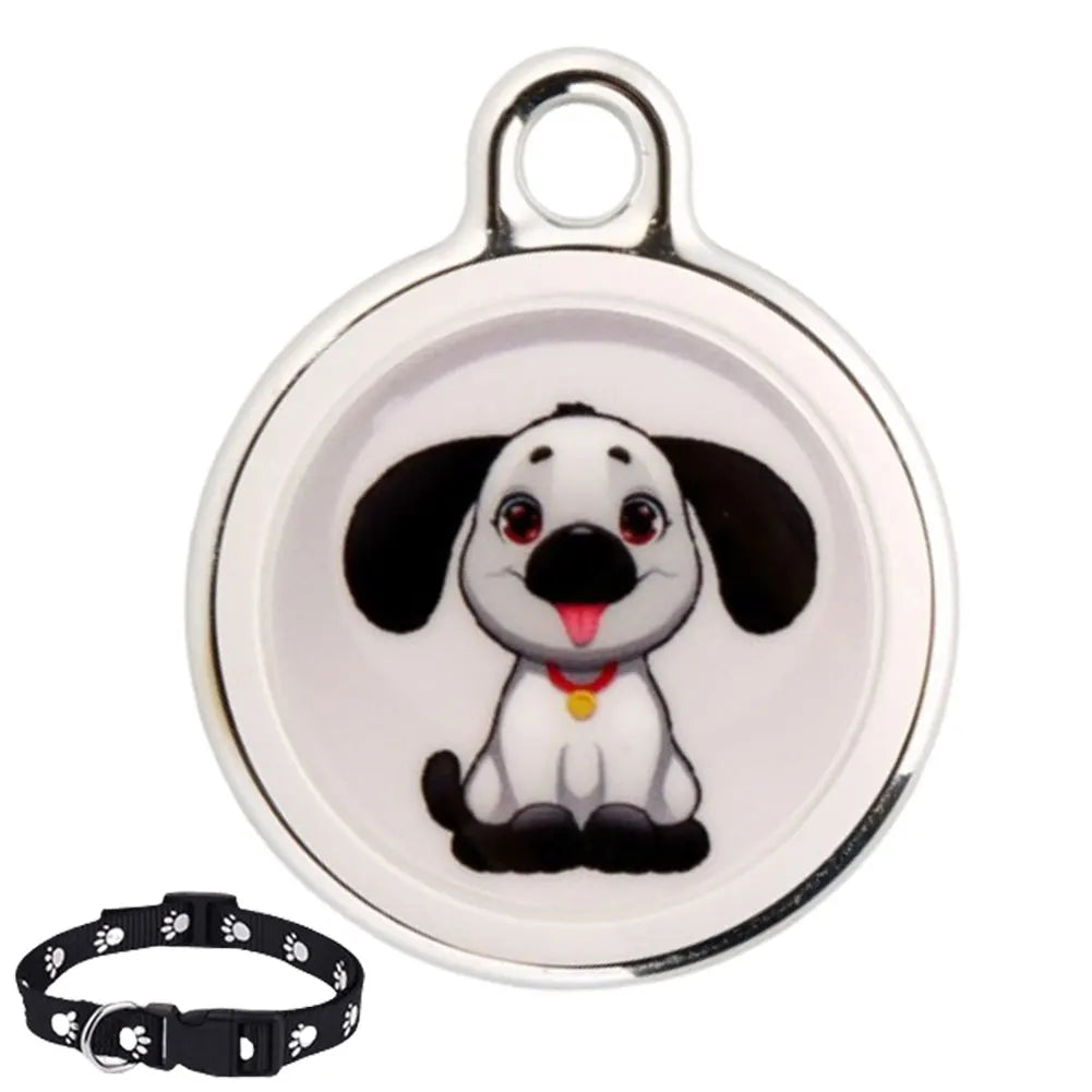 GPS Tracker Tag