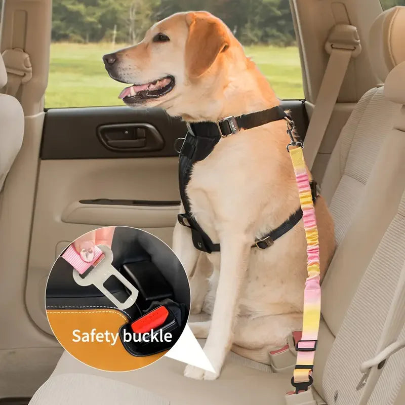 Safety Buckle Seat Belt