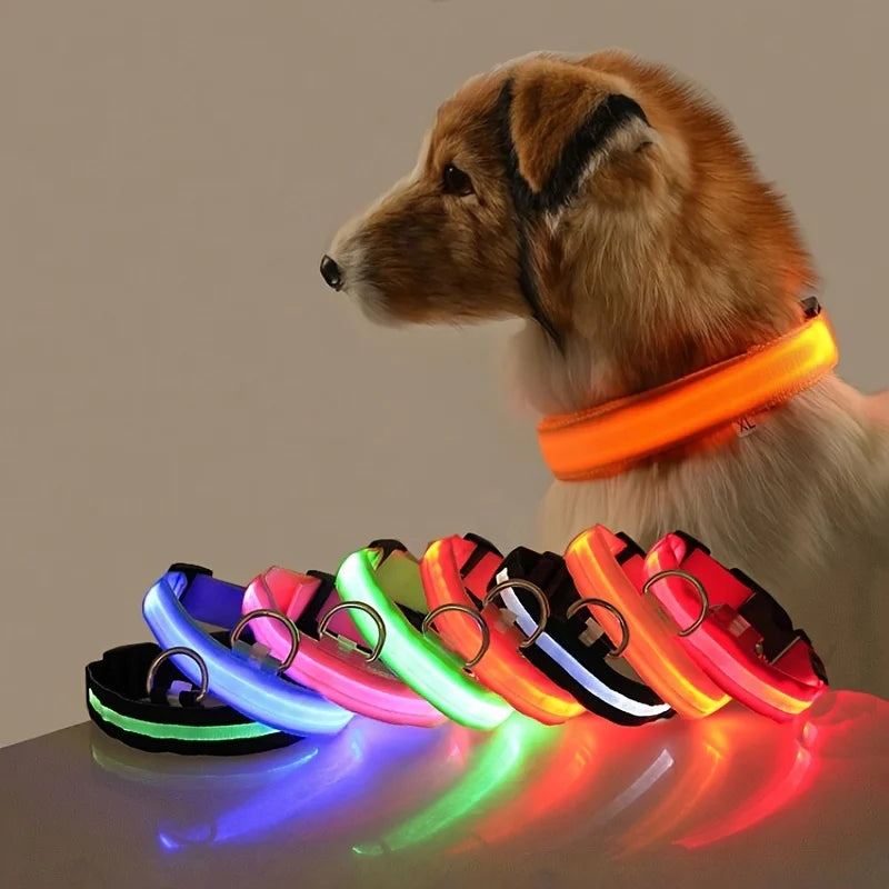 Rechargeable LED Collar