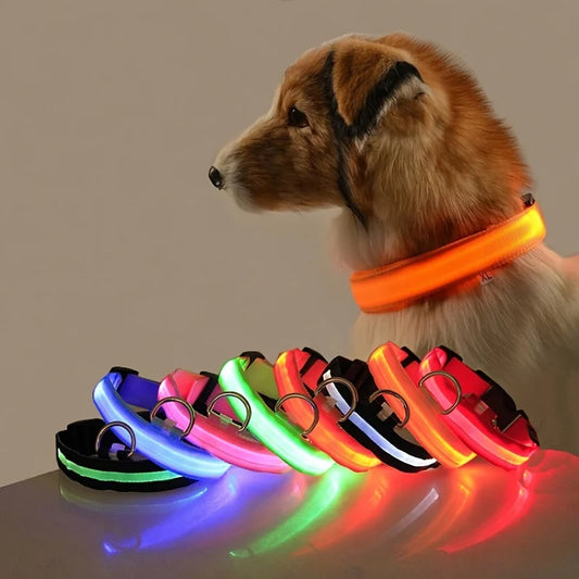 Rechargeable LED Collar