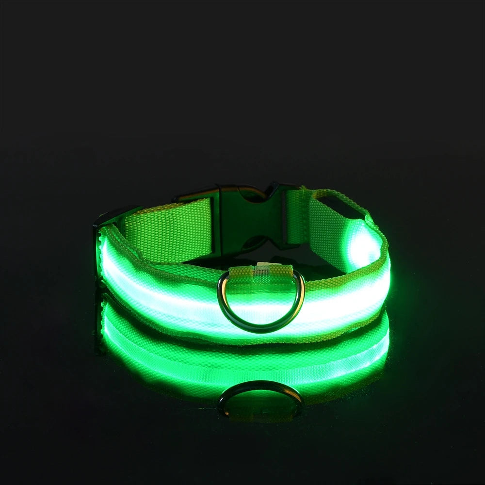 Rechargeable LED Collar