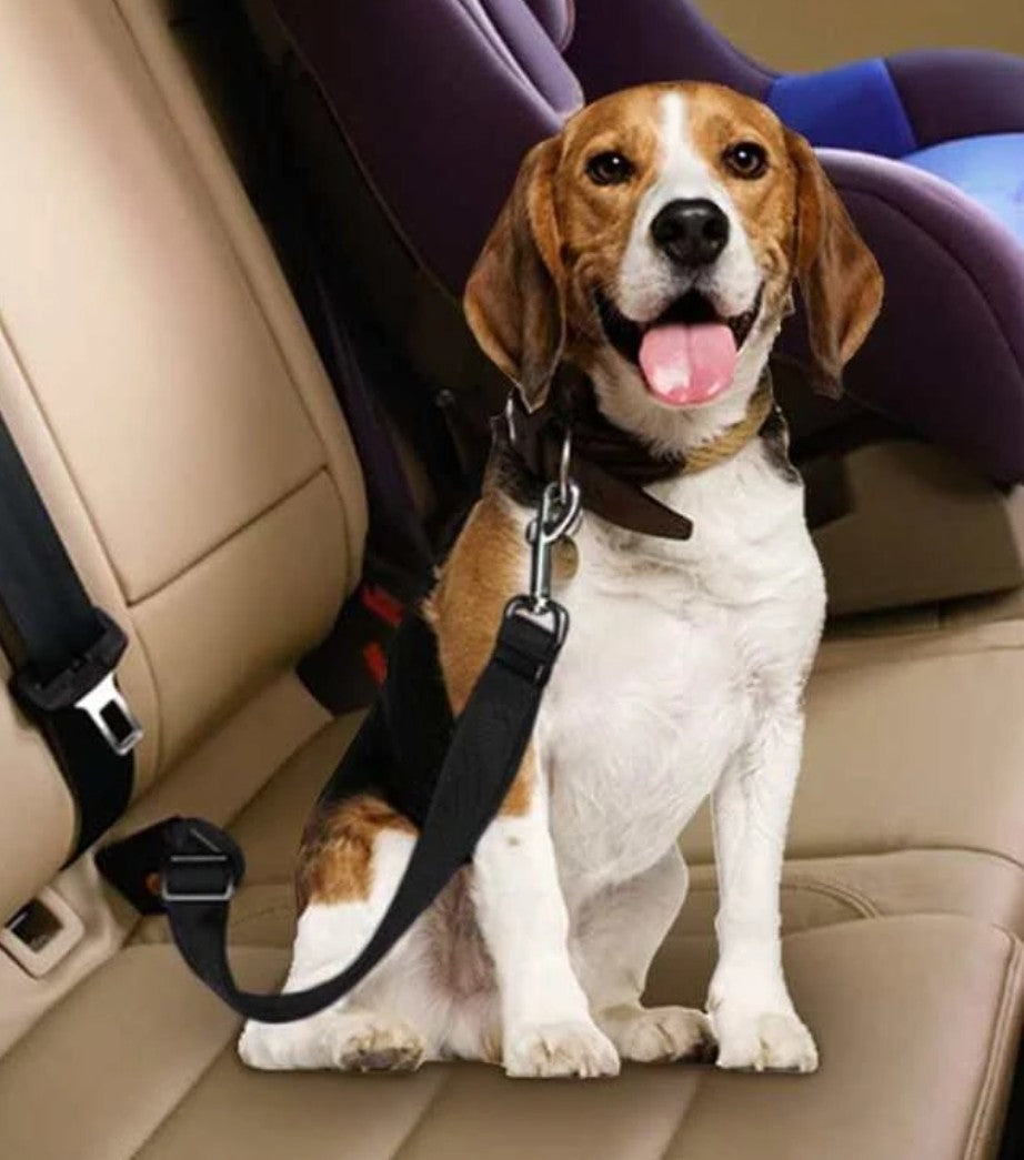 Pet Seat Belt